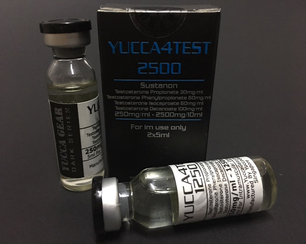 YUCCA4TEST 2500