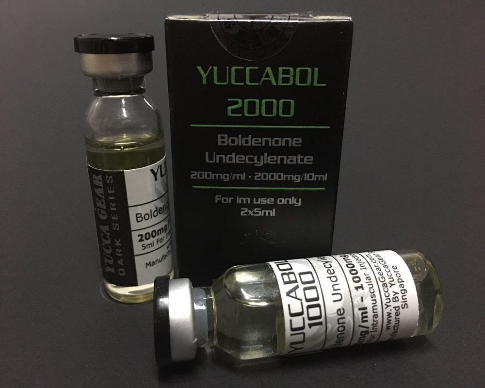 YUCCABOL 2000