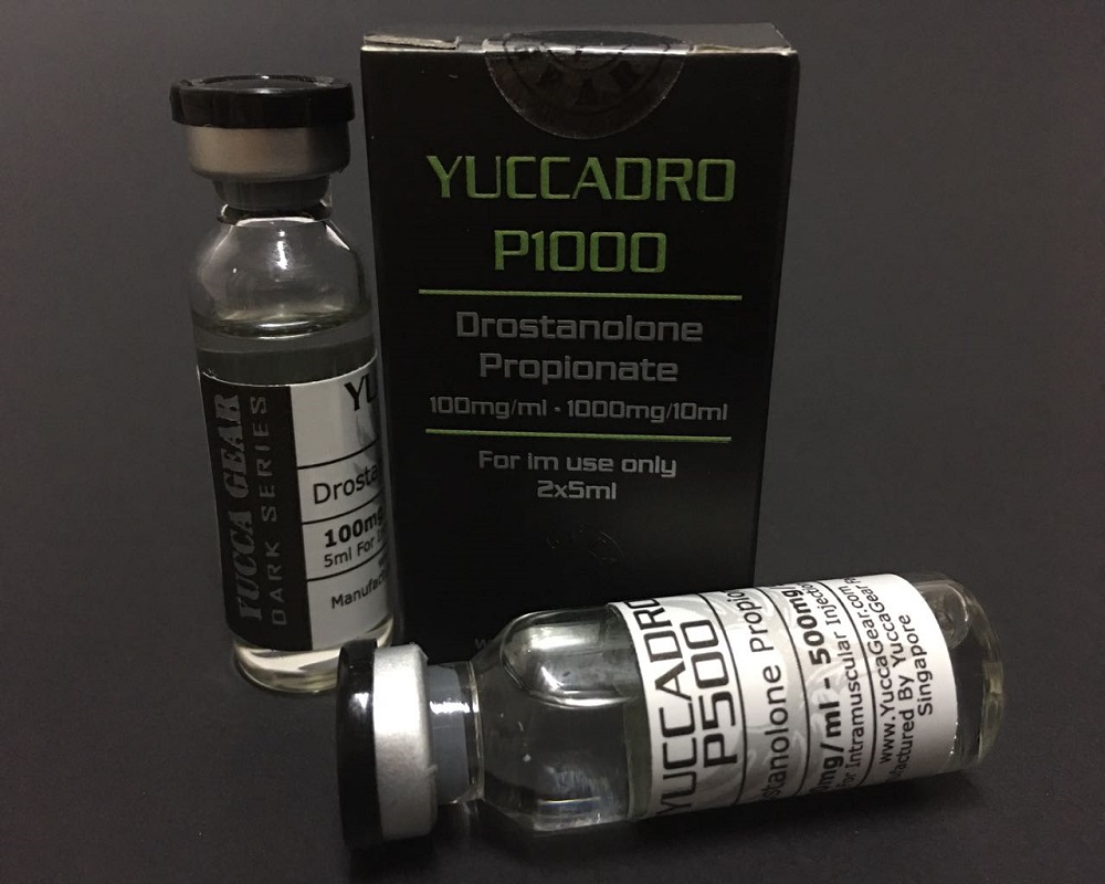 YUCCADRO P1000